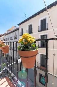 Cálamo Guesthouse - 77