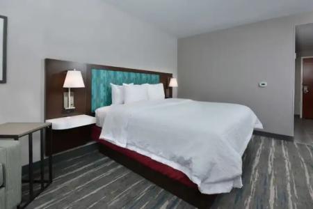 Hampton Inn & Suites Charlotte North I 485 - 12