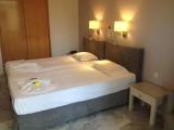 Standard Double room with garden view