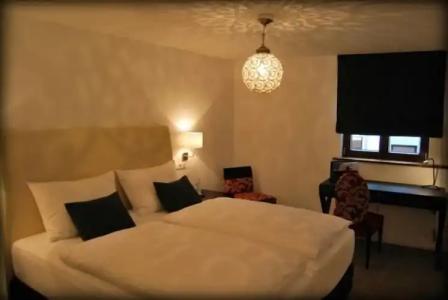 Ochsen Am Mehlsack - 2