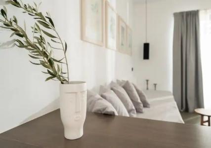 SOPHID Wellness Suites Karpathos - 46