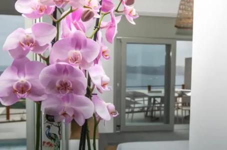 Melidonia Suites - 175