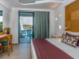 Superior Double Terrace room with view