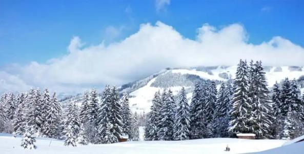 Hôtel La Grange d'Arly - 10