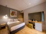 Standard Double room with garden view