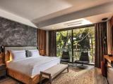 Deluxe Double room with balcony and with garden view