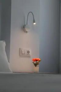 Sunna Benicassim - 108