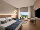 Deluxe Adult Double Swim Up with sea view