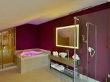 Deluxe Double room with balcony and with city view
