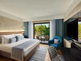 Superior Double room with balcony and with land view