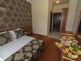 Standard Double room with mountain view
