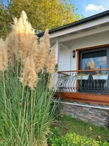 SASA Harmanlık - 30