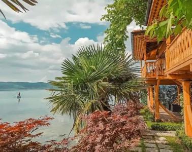 SASA Harmanlık - 11