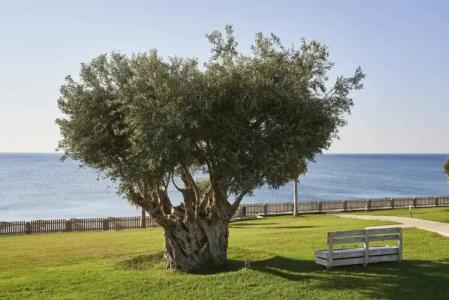 Atlantica Kolymbia Beach - 20