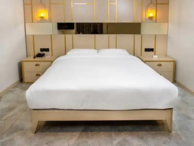 Anemon Aydın Otel - 27