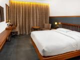 Superior Plus Double room