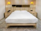 Deluxe Plus Double room