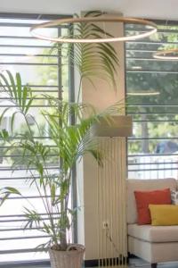 Soho Boutique Córdoba - 25