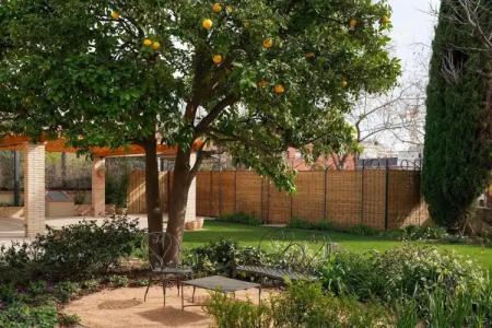 Boutique Mirlo Barcelona - 12