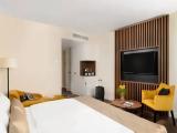 Superior Double or Twin Room with Terrace