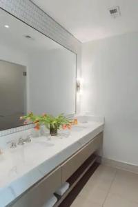 La Colombe d'Or - 74