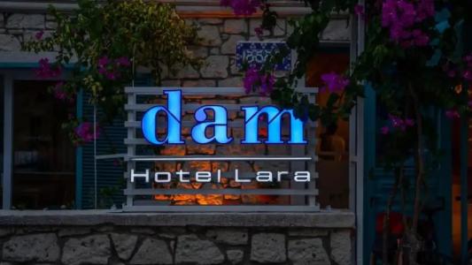 DAM LARA - 83