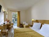 Standard Double room with garden view