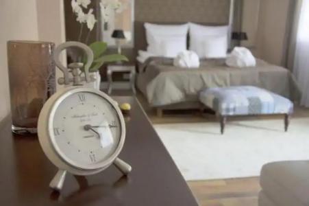 Willa Sepia SPA - 19