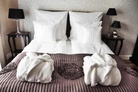 Willa Sepia SPA - 29