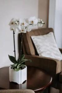 Willa Sepia SPA - 18