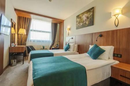 Library Erciyes - 48