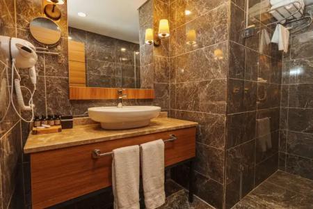 Library Erciyes - 68