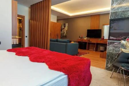 Library Erciyes - 58