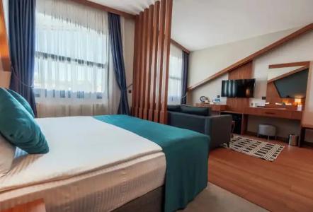 Library Erciyes - 60