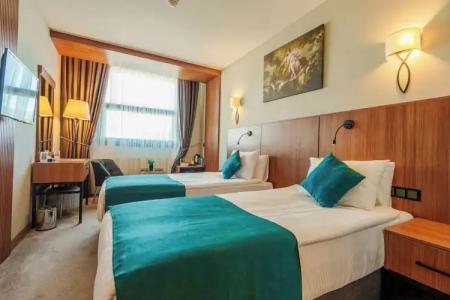 Library Erciyes - 53