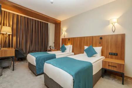 Library Erciyes - 46