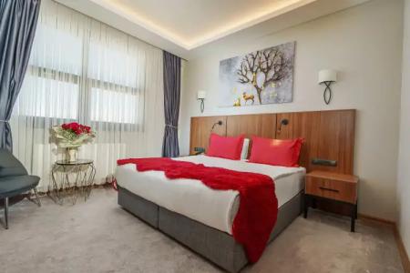 Library Erciyes - 70