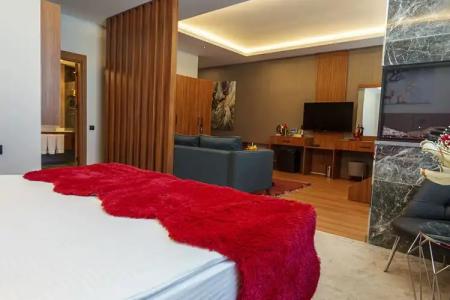 Library Erciyes - 71