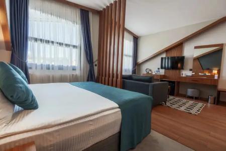 Library Erciyes - 65