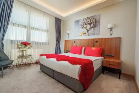 Library Erciyes - 57