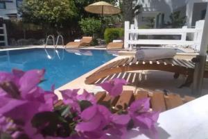 Misket Hotel Bodrum, Bodrum