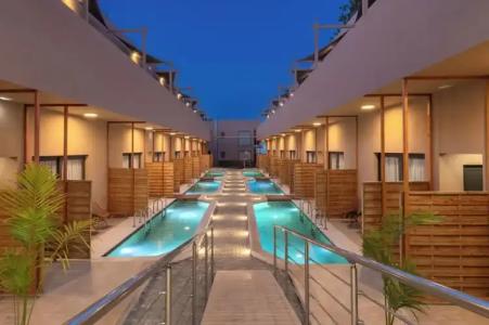 Golden Bee Lifestyle - 11