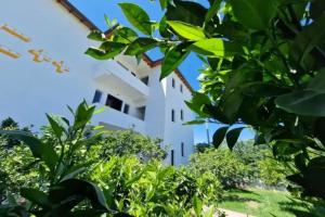 Villa C++, Berat