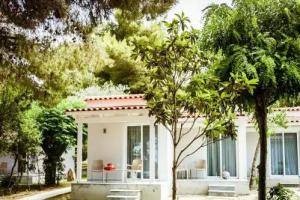 Mimoza Beach Hotel, Argasi