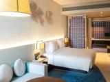 Plunge Pool Double room