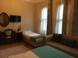 Standard Triple room with garden view