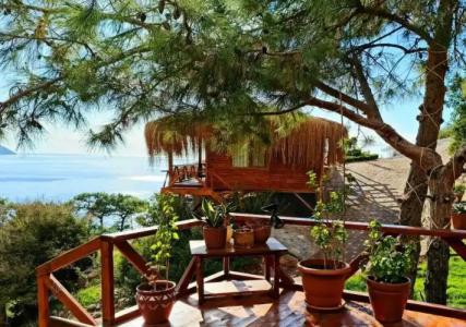 La Boheme Kabak - 24