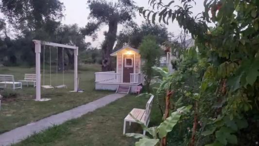 Amelia's Garden - 14