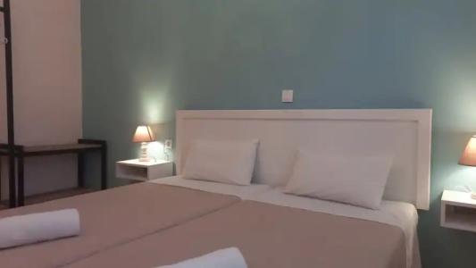 Amelia's Garden - 24