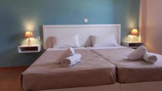 Amelia's Garden - 20